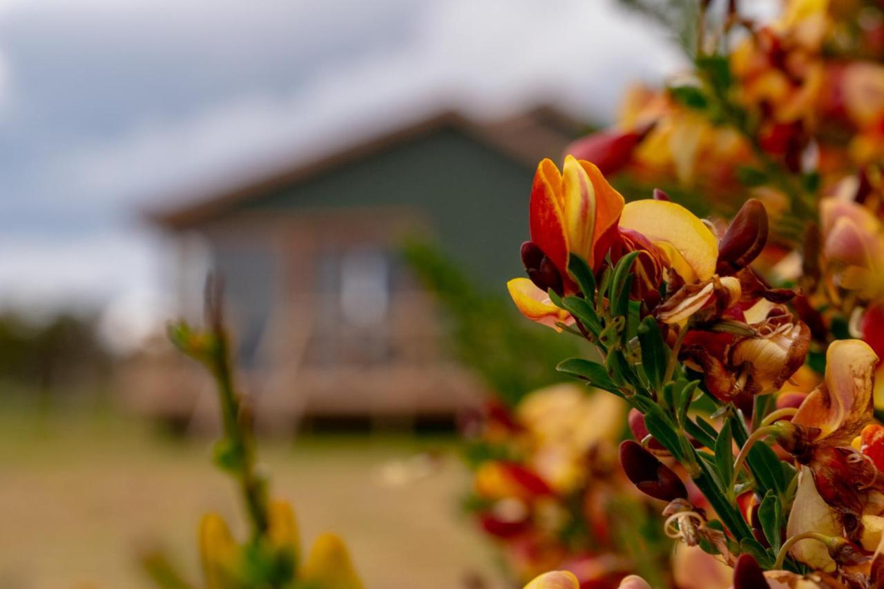 Garden Domes Vila Puerto Natales Exterior foto