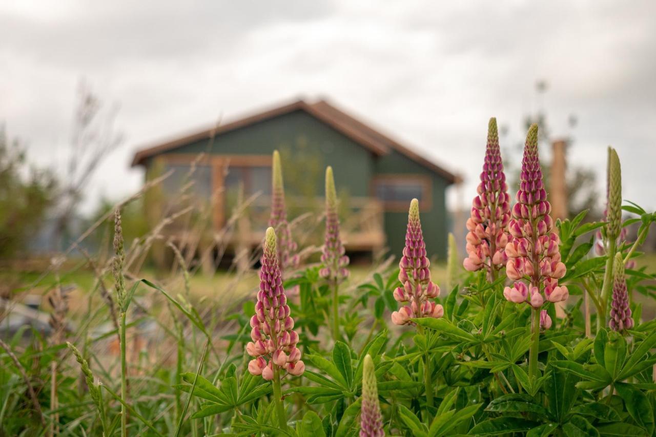 Garden Domes Vila Puerto Natales Exterior foto